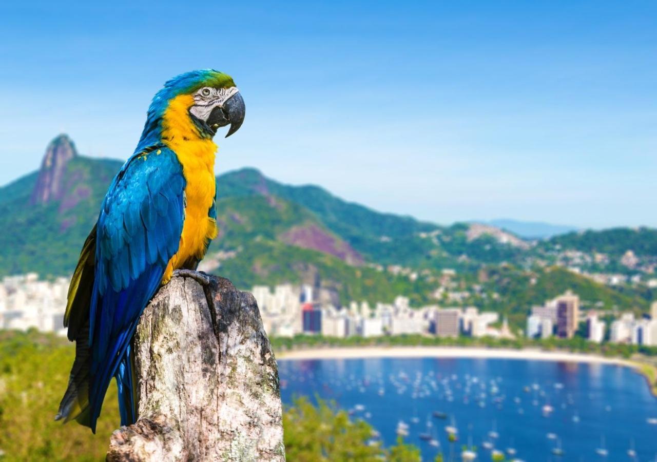 Seja Bem-vindo A Vibrante Lapa ! Rio de Janeiro